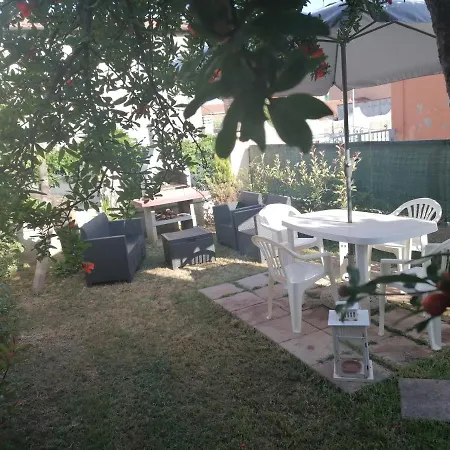 Alexis House * Piombino